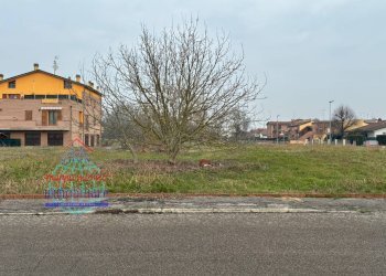 Foto 5 - Terreno edificabile VIA BRENTA
 
SNC, Finale Emilia - foto 5