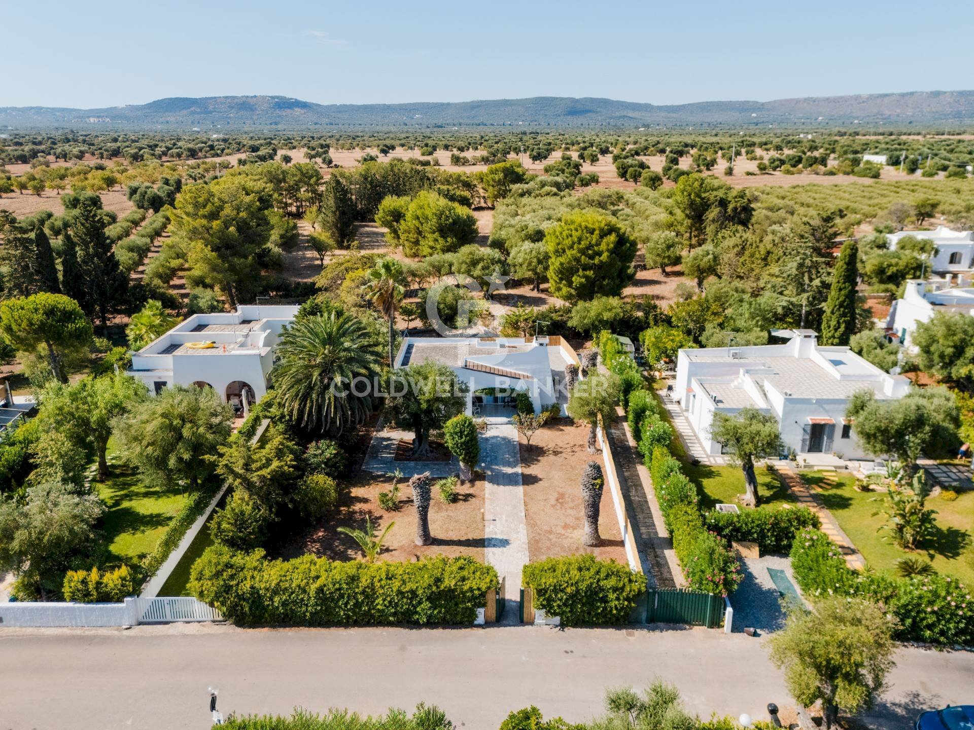 Foto 2 - Villa CONTRADA ROSAMARINA
152, Ostuni - photo 2