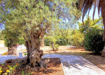 Foto 7 - Villa CONTRADA ROSAMARINA
 
152, Ostuni - foto 7