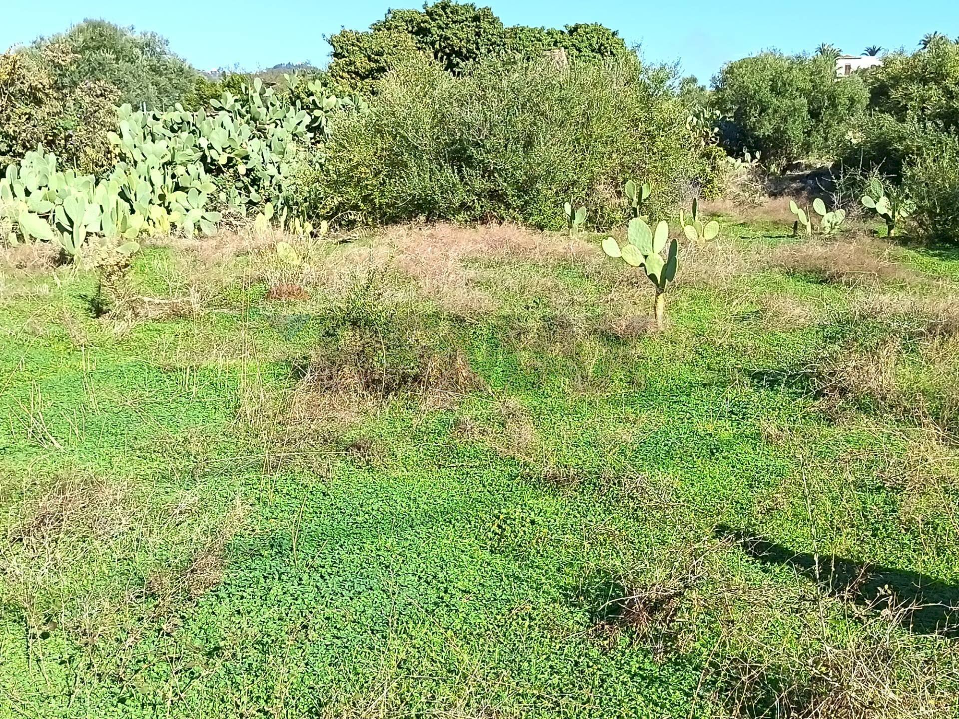 Giardino - Building land Via Macaluso, Aci Castello - photo 2