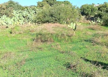 Giardino - Terreno edificabile Via Macaluso, Aci Castello - foto 2
