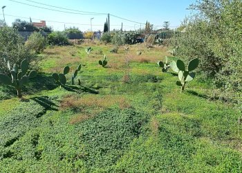 Giardino - Terreno edificabile Via Macaluso, Aci Castello - foto 7