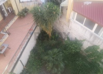 Giardino - Quadrilocale Via Sant'Antonio Abate
 
64, Misterbianco - foto 22