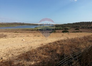 Foto 2 - Terreno agricolo strada provinciale 51
 
SNC, Gela - foto 2