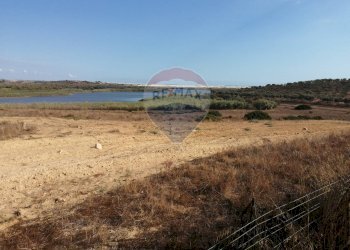 Foto 3 - Terreno agricolo strada provinciale 51
 
SNC, Gela - foto 3