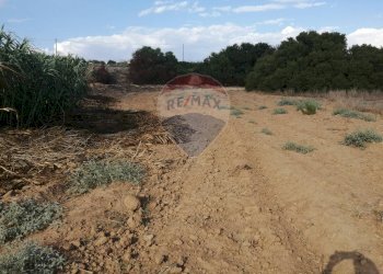 Foto 6 - Terreno agricolo strada provinciale 51
 
SNC, Gela - foto 6