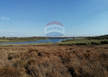 Foto 9 - Terreno agricolo strada provinciale 51
 
SNC, Gela - foto 9