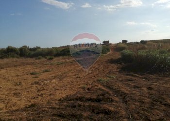 Foto 16 - Terreno agricolo strada provinciale 51
 
SNC, Gela - foto 16