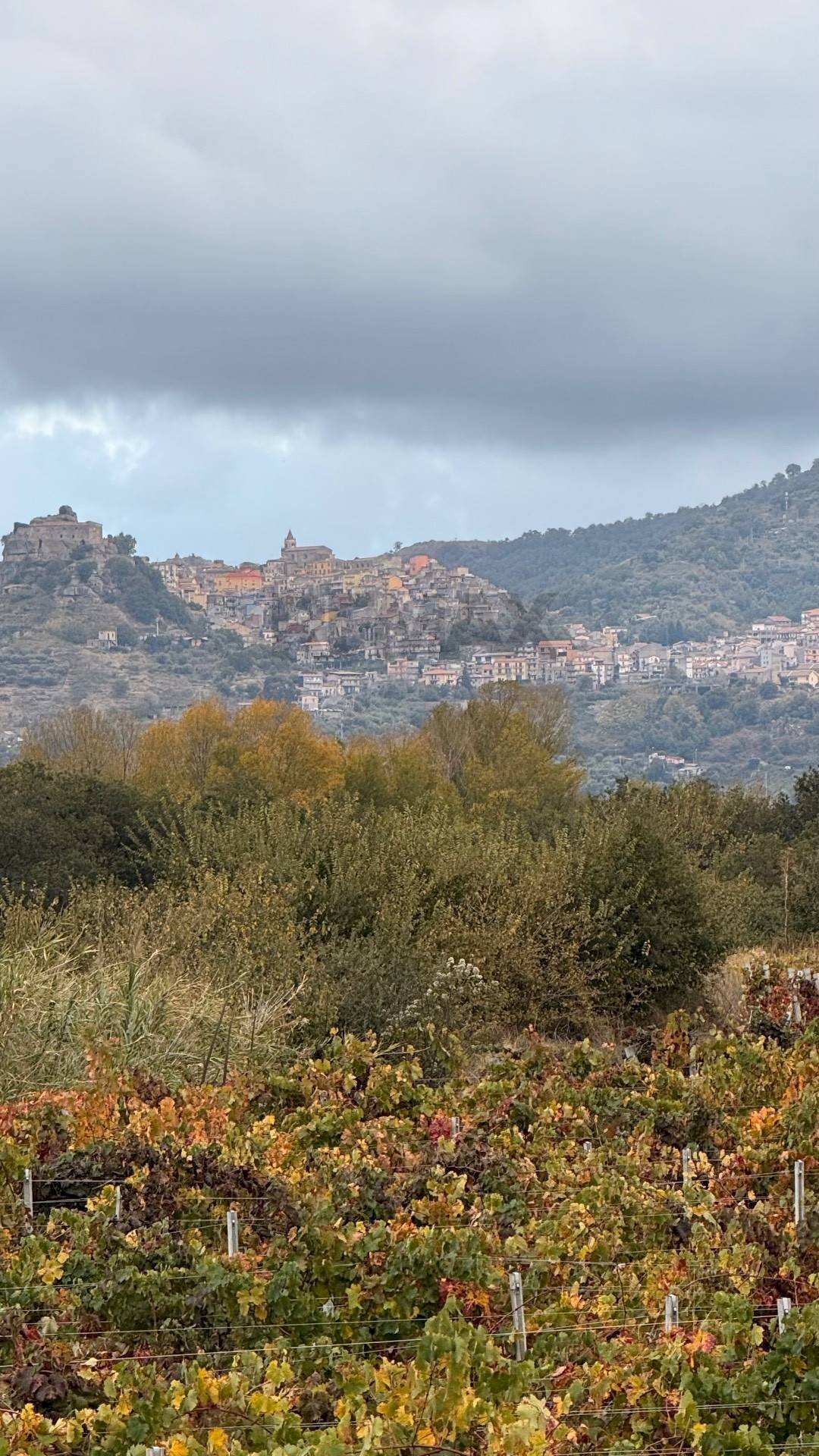 Vista delle montagne - Agricultural land Castiglione di Sicilia - photo 1