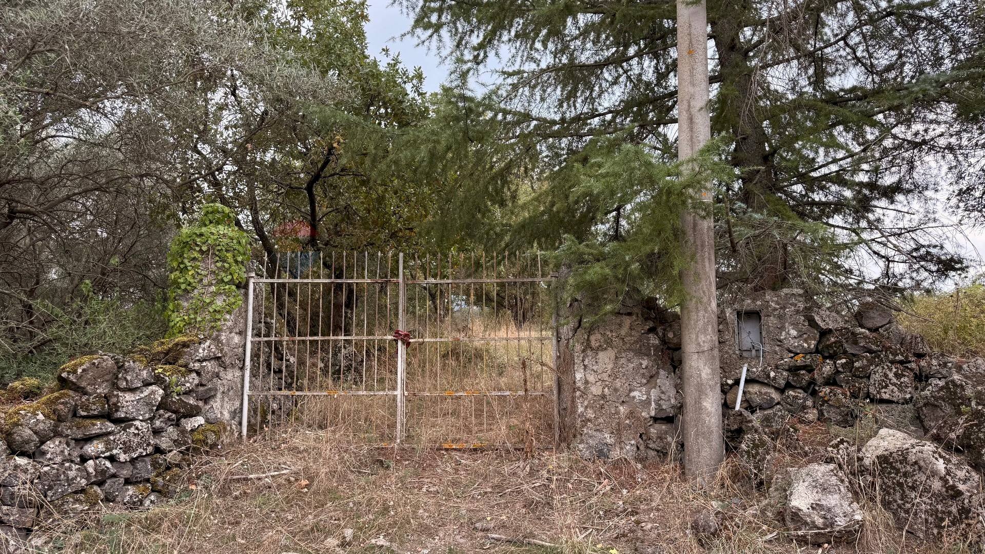 Giardino - Agricultural land Castiglione di Sicilia - photo 2