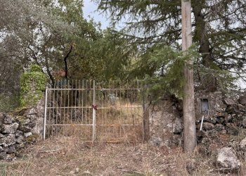 Giardino - Terreno agricolo Castiglione di Sicilia - foto 2