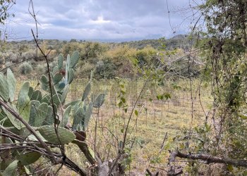 Vista delle montagne - Terreno agricolo Castiglione di Sicilia - foto 4