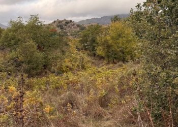 Vista delle montagne - Terreno agricolo Castiglione di Sicilia - foto 5