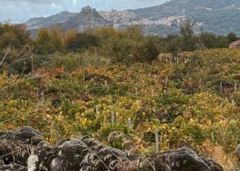 Vista delle montagne - Terreno agricolo Castiglione di Sicilia - foto 7