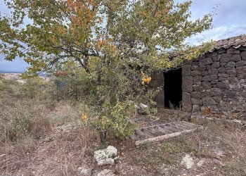 Giardino - Terreno agricolo Castiglione di Sicilia - foto 8