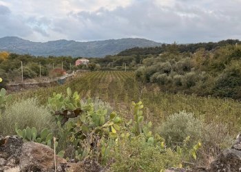 Vista delle montagne - Terreno agricolo Castiglione di Sicilia - foto 9