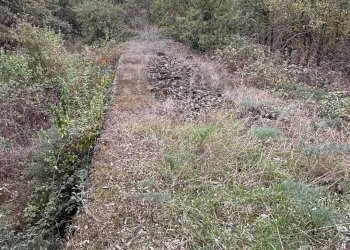Non correlato - Terreno agricolo Castiglione di Sicilia - foto 10