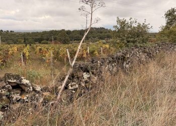 Vista delle montagne - Terreno agricolo Castiglione di Sicilia - foto 15