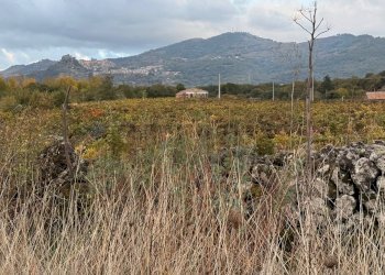 Vista delle montagne - Terreno agricolo Castiglione di Sicilia - foto 18
