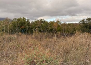 Vista delle montagne - Terreno agricolo Castiglione di Sicilia - foto 19
