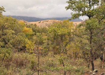 Vista delle montagne - Terreno agricolo Castiglione di Sicilia - foto 21