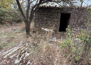 Giardino - Terreno agricolo Castiglione di Sicilia - foto 23