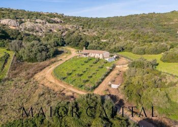 Foto 37 - Villa Loc La Rena, Arzachena - foto 37