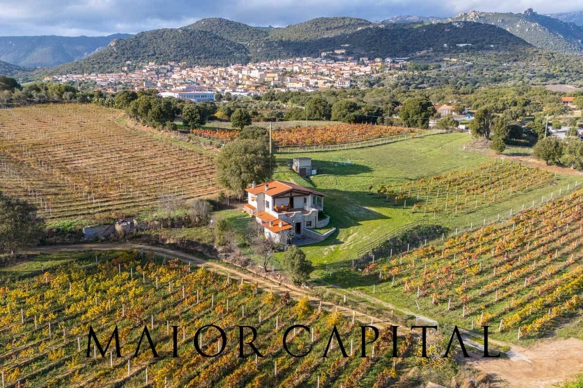 Foto 1 - Villa Via Donna Anna Maria
 
SNC, Berchidda - photo 1