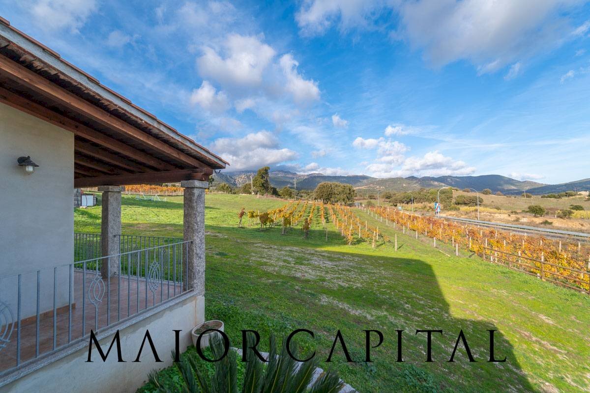 Foto 3 - Villa Via Donna Anna Maria
 
SNC, Berchidda - photo 3