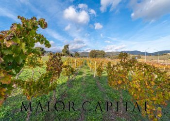 Foto 31 - Villa Via Donna Anna Maria
 
SNC, Berchidda - foto 31