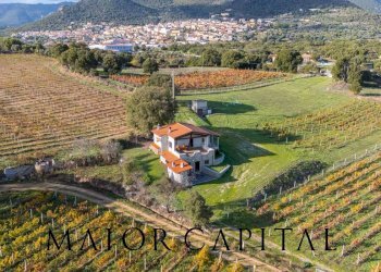 Foto 34 - Villa Via Donna Anna Maria
 
SNC, Berchidda - foto 34