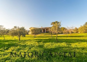 Foto 40 - Villa Via Monte a Telti, Olbia - foto 40