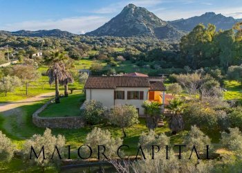 Foto 43 - Villa Via Monte a Telti, Olbia - foto 43