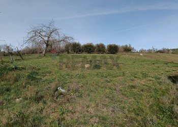 Giardino - Independent house c/da coste
 
68, Morcone - photo 10