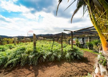 Giardino - Rustico Calcara Muratelle
 
18, San Cesareo - foto 4