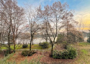 Giardino - Villa Bifamiliare Via Strada Malaspina
 
12, Segrate - foto 8