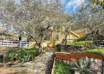 Giardino - Villa via Giorgio Matranga
 
22, Santa Cristina Gela - foto 17