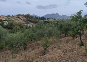 Vista delle montagne - Agricultural land contrada coda di volpe, Santa Flavia - photo 12