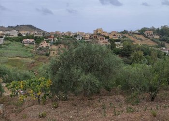 Vista delle montagne - Agricultural land contrada coda di volpe, Santa Flavia - photo 13