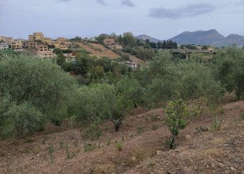 Vista delle montagne - Agricultural land contrada coda di volpe, Santa Flavia - photo 14