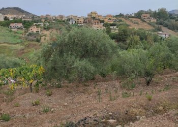 Vista delle montagne - Agricultural land contrada coda di volpe, Santa Flavia - photo 15