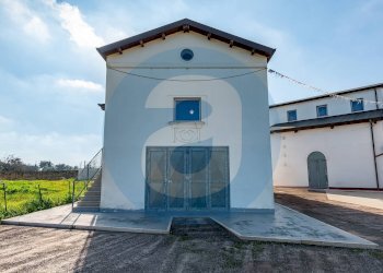 Foto 18 - Capannone Strada Torre Di Mizzo
 
29, Bari - foto 18