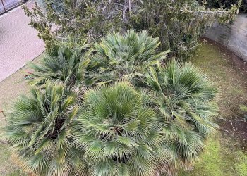 Foto 44 - Trilocale Strada Solaro
 
189, Sanremo - foto 44