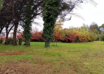 Giardino - Terreno edificabile Via Gasparoli, Cassano Magnago - foto 2