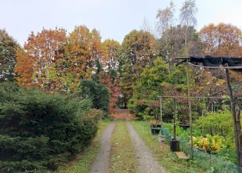 Giardino - Terreno edificabile Via Gasparoli, Cassano Magnago - foto 6