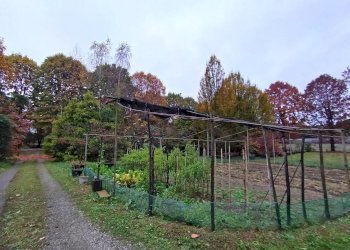 Giardino - Terreno edificabile Via Gasparoli, Cassano Magnago - foto 7