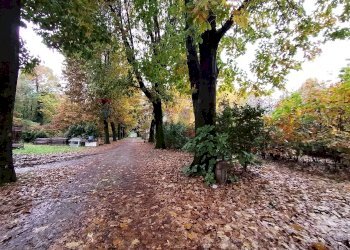 Giardino - Terreno edificabile Via Gasparoli, Cassano Magnago - foto 12