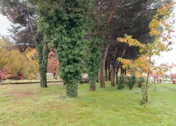 Giardino - Terreno edificabile Gallarate - foto 4