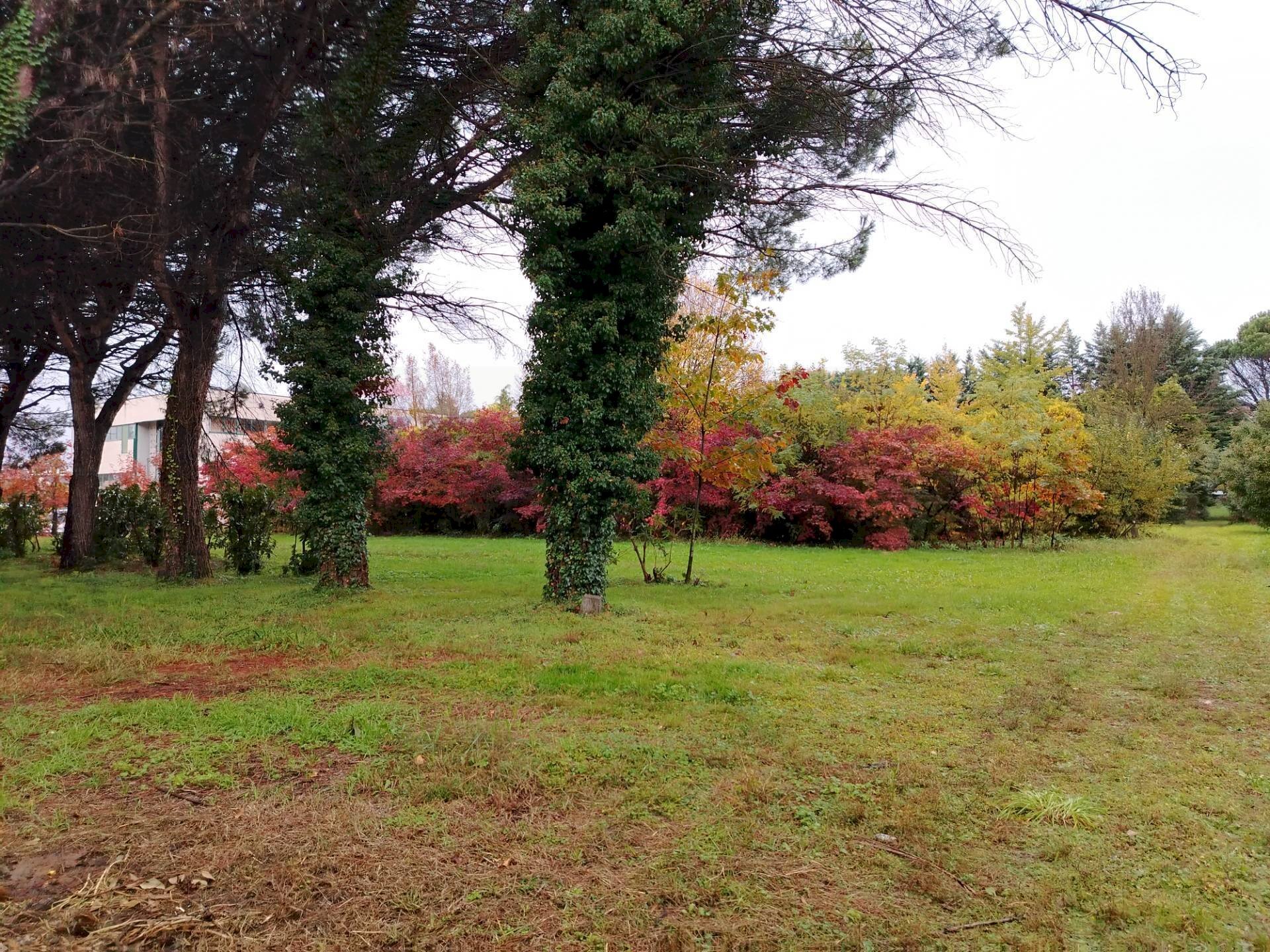 Giardino - Terreno edificabile Busto Arsizio - foto 2