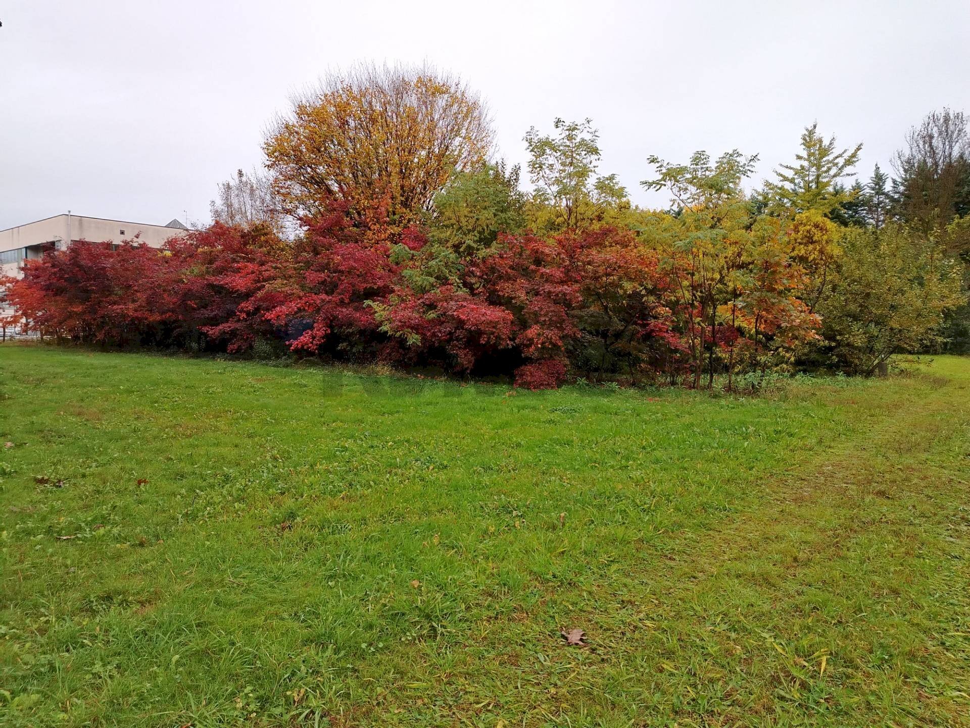 Giardino - Terreno edificabile Busto Arsizio - foto 3